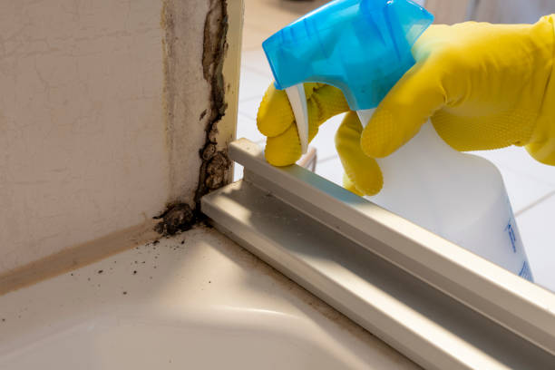 Certified Mold Removal in Thomas, OK