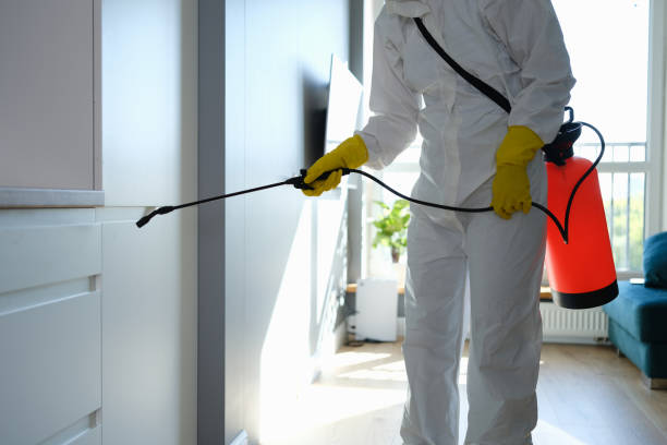 Water Damage Restoration in Thomas, OK