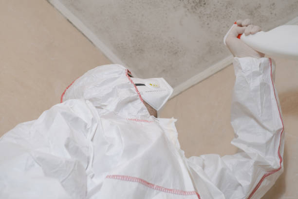 Best Toxic Mold Removal  in Thomas, OK