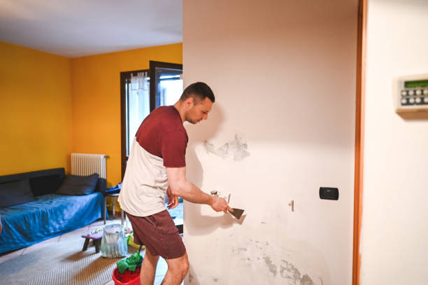 Best Mold Remediation  in Thomas, OK