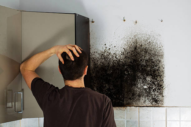 Best Emergency Mold Removal  in Thomas, OK